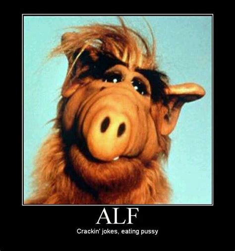 Cartoon & tv character filter applied. Pin by Yolda Garcia on Secret (With images) | Alf, Alien ...