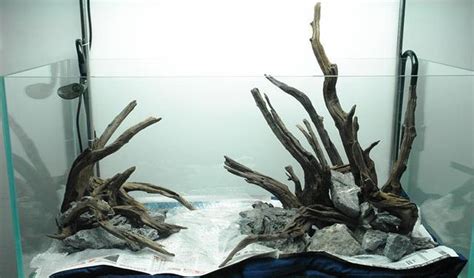 Driftwood Aquascape Many Many