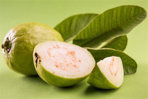 In this study, it was found that leaves extract of guava. Top 10 Health Benefits of Guava and Guava Leaves | Top 10 ...