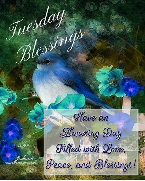 Blue Bird Tuesday Blessings Pictures, Photos, and Images for Facebook ...