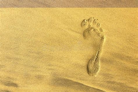 Barefoot And Footprint Stock Photo Image Of Footprint 62073584