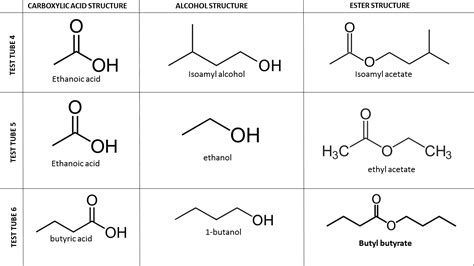 Solved Draw The Skeletal Structures Of The Acids And Alcohols In