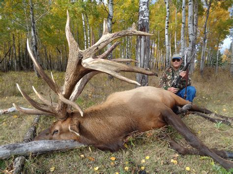 The Silvertine Elk Hunting Experince