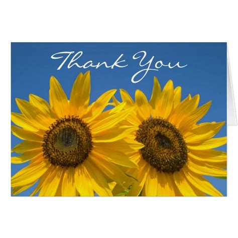 Floral Thank You Yellow Sunflower Blue Flowers Card Zazzle