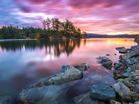 Forest Sunset Reflected Clear Water Scenery Hd Wallpaper Preview