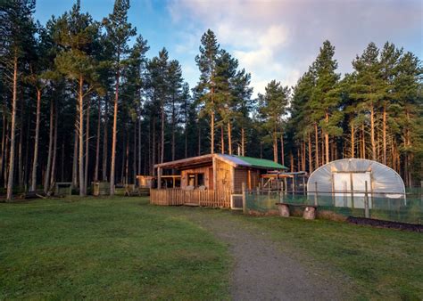 We did not find results for: Log cabins in Scotland - from a low impact eco treehouse ...