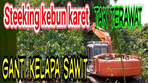 Maybe you would like to learn more about one of these? Steeking kebun karet - YouTube