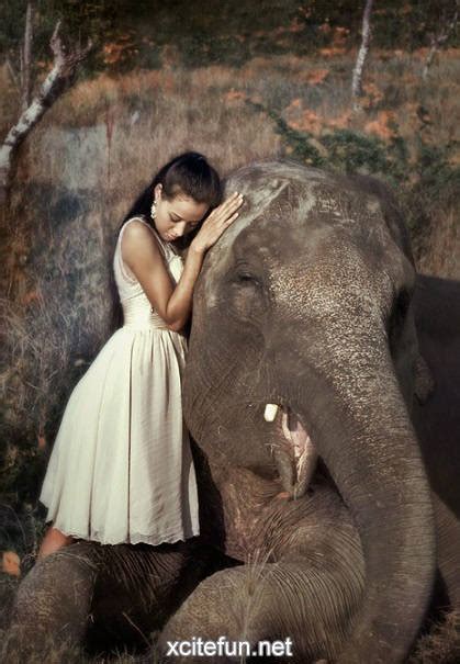 Girl And Elephant
