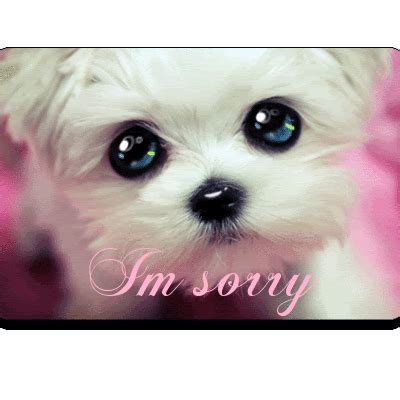 With tenor, maker of gif keyboard, add popular sorry i love you animated gifs to your conversations. V2R1 - I Love You ...: I am very very very sorry...