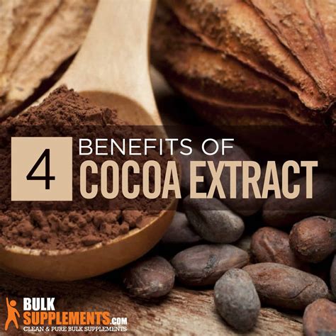 Cocoa Extract Benefits Side Effects And Dosage
