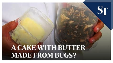 Belgian Researchers Make A Cake With Butter Made From Bugs Youtube