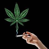 Washington Marijuana Legalization Pictures