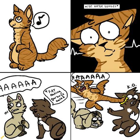 Into the wild was the first book which was released in 2003. 47 best images about Warrior cat memes on Pinterest | Most, Cats and Laughing
