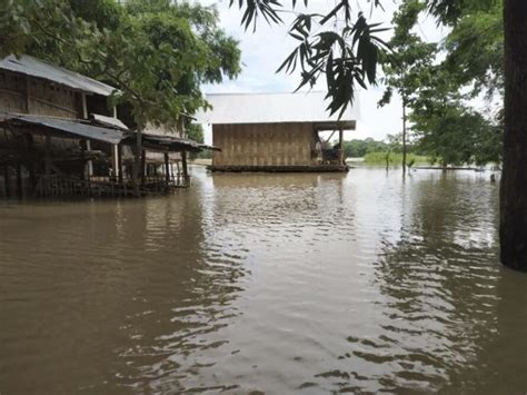 How Indigenous Traditional Bamboo Houses Are Saving Lives In Flood