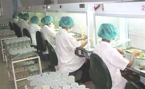 Maybe you would like to learn more about one of these? Plant Tissue Culture Company India