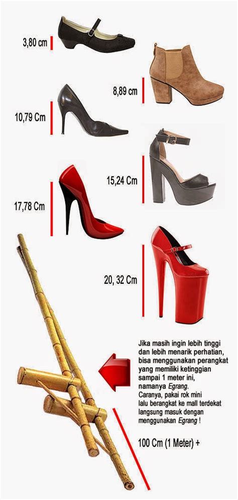 Jenis Jenis Hak Sepatu Wanita Hak Sepatu Tinggi Hongkoong