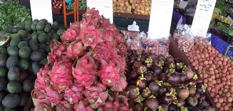 Wholesale Fruits And Vegetables In Melbourne