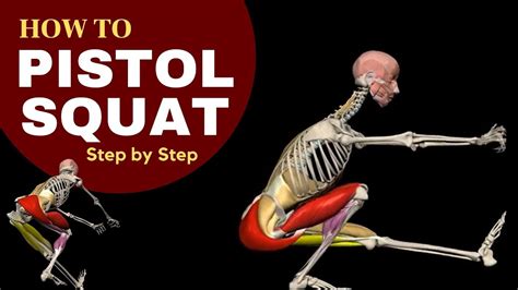 The Anatomy Of The Pistol Squat Step By Step Progression 3d Anatomy
