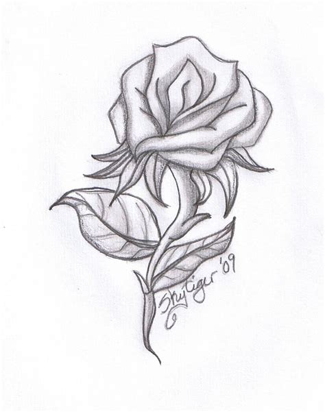 Rose Pencil Drawing By Skytiger On Deviantart Roses Drawing Pencil