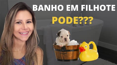 Com Quanto Tempo Pode Dar Banho No Filhote Filhote Pode Tomar Banho