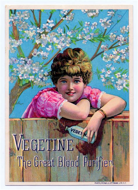 Vintage Clip Art Cherry Blossom Girl The Graphics Fairy