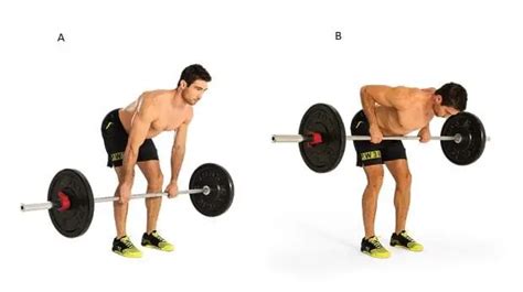 About The Bent Over Barbell Row Get Strong