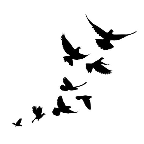 Silhouette Bird Tattoos At Getdrawings Free Download