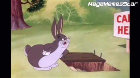 Best Big Chungus Meme Compilation Funny Bugs Bunny Meme Youtube