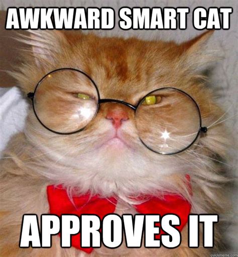Awkward Smart Cat Approves It Awkward Smart Cat Quickmeme