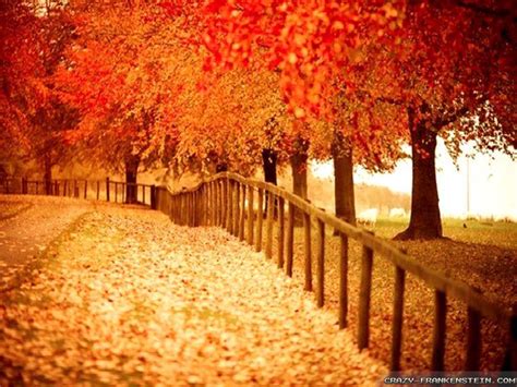 Beautiful Autumn Wallpapers Wallpaper Cave