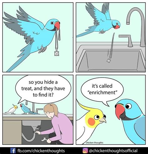 30 Funny Comics About Parrots Illustrated By A Bird Owner In 2021