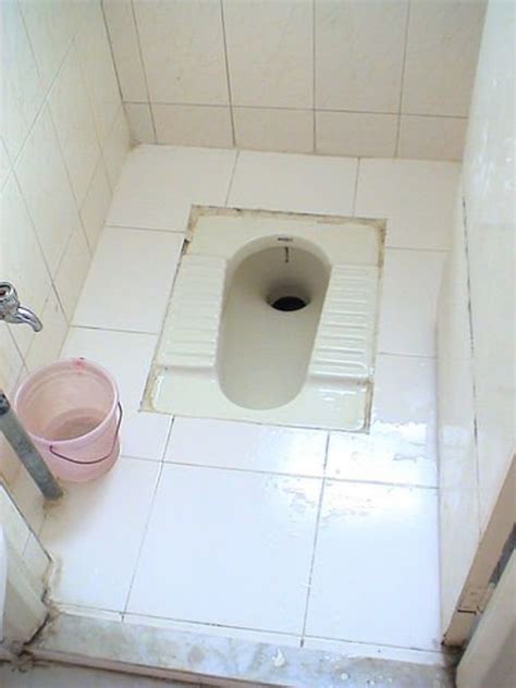 Why Squatting Toilet Is Used In Some Parts Of The World Tell Me In Simple Terms