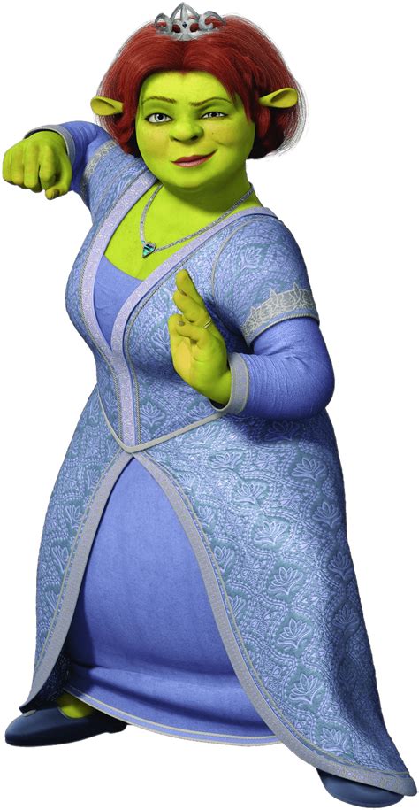 Download Princess Fiona Fighter Png Shrek And Fiona Transparent Png