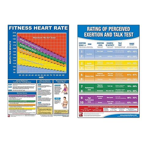 Buy Productive Fitness Laminated Fitness Heart Rate Guidelines Set