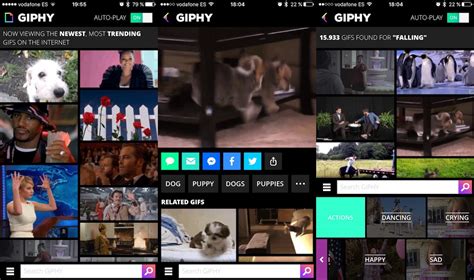 Giphy La App Definitiva Para Encontrar  En Internet