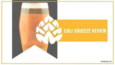 Cali Squeeze Review Juicy Hefe Bursting With Blood Oranges