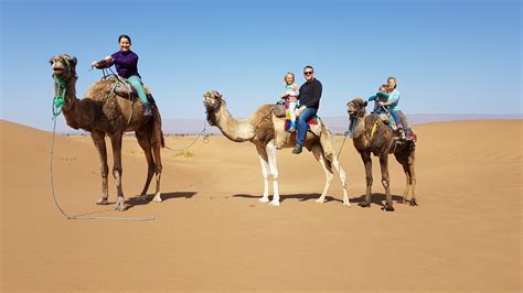 A Desert Camel Ride But Did We Do The Right Thing Journey Of A