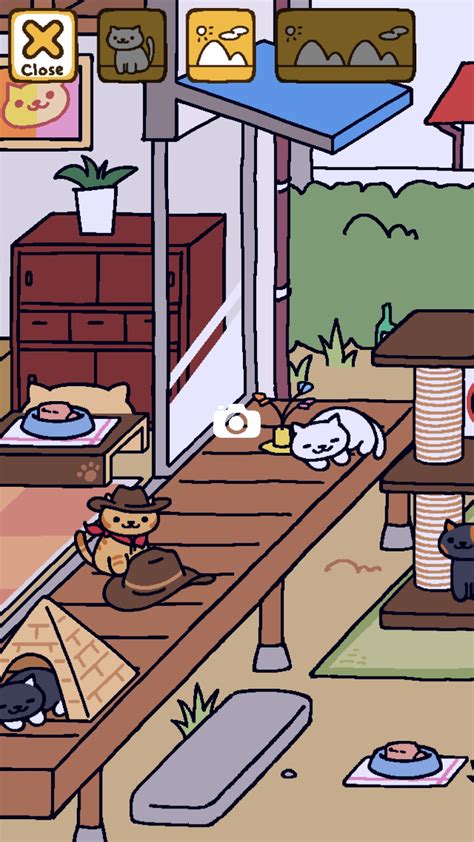 First Visit By Billy The Kitten Neko Atsume Neko Atsume Neko Cat App