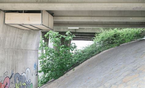 Fernando Abellanas Designs A Secret Studio Under A Bridge In Spain