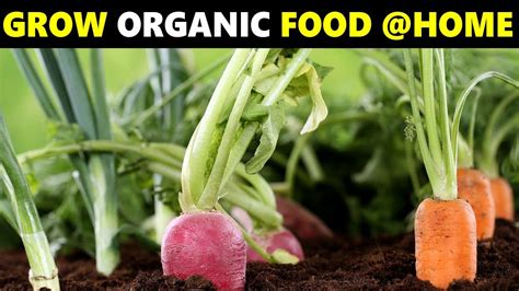 How To Grow Your Own Organic Food Abc Health Organic Gardening
