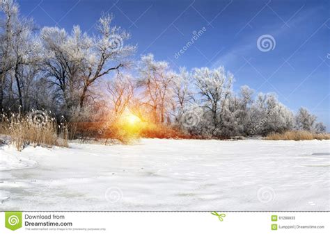 Beautiful Winter Landscape At Sunset With Snow Stock Image
