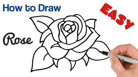 In this last step of drawing of an easy rose, make sharp edges leaves. Easy Simple Step By Step Beginners Rose Drawing ...