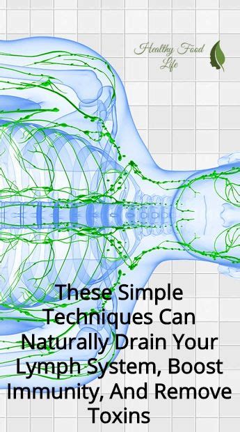 These Simple Techniques Can Naturally Drain Your Lymph System Boost