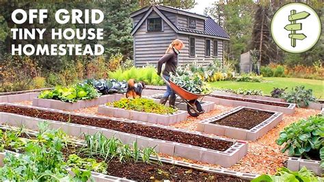 Living Off Grid On A Tiny House Homestead For 6 Years Eco Snippets
