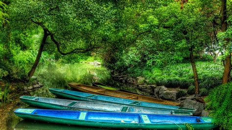 1920x1080 River Forest Boats Coolwallpapersme