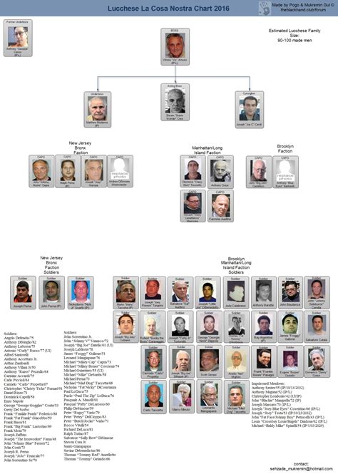 Mafia Family Leadership Charts | About The Mafia