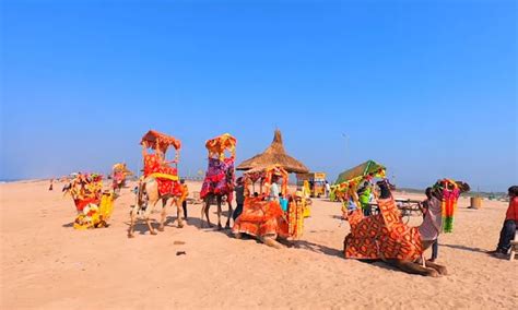 Escape To Madhavpur Beach A Coastal Paradise Of Adventure And