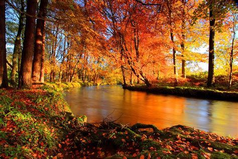 Download Fall Forest Nature River Hd Wallpaper