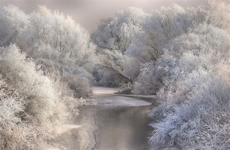 Landscape Photography Nature River Forest Winter Frost Snow Trees Cold White