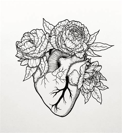Drawings human heart art heart drawing plant drawing heart illustration flower drawing flower heart heart art flower art. me, your vulgar darling. glimmering in the swimming pool. | Heart flower tattoo, Anatomical ...